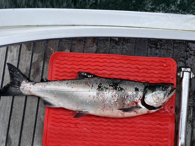Photo from Egg Harbor