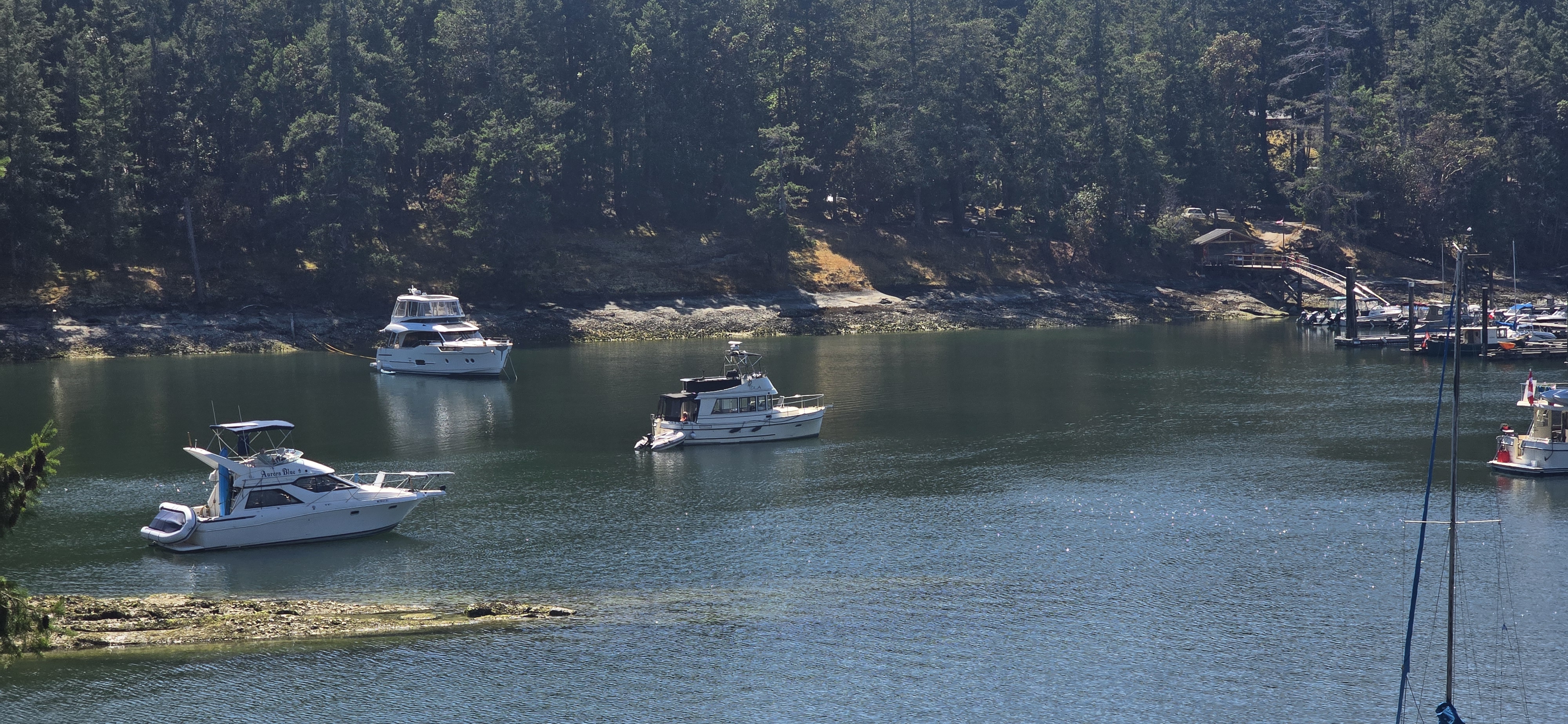 Photo from Pirate's Cove