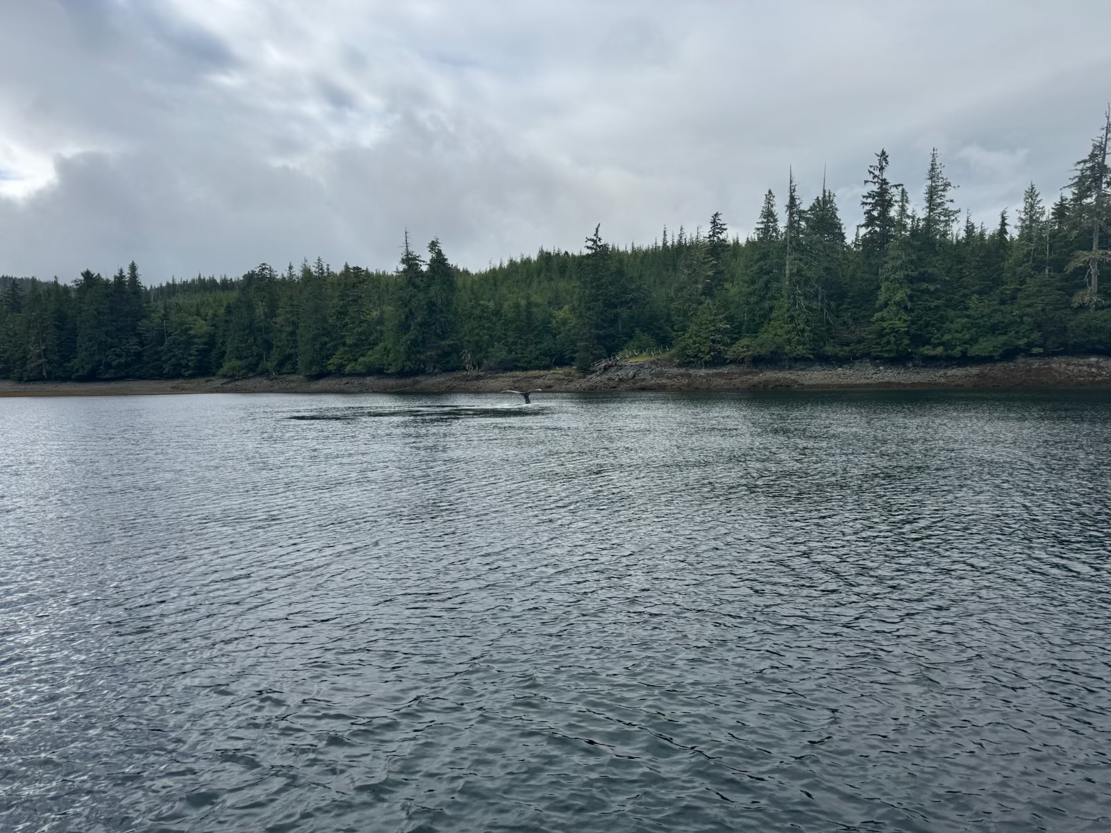 Photo from Underway