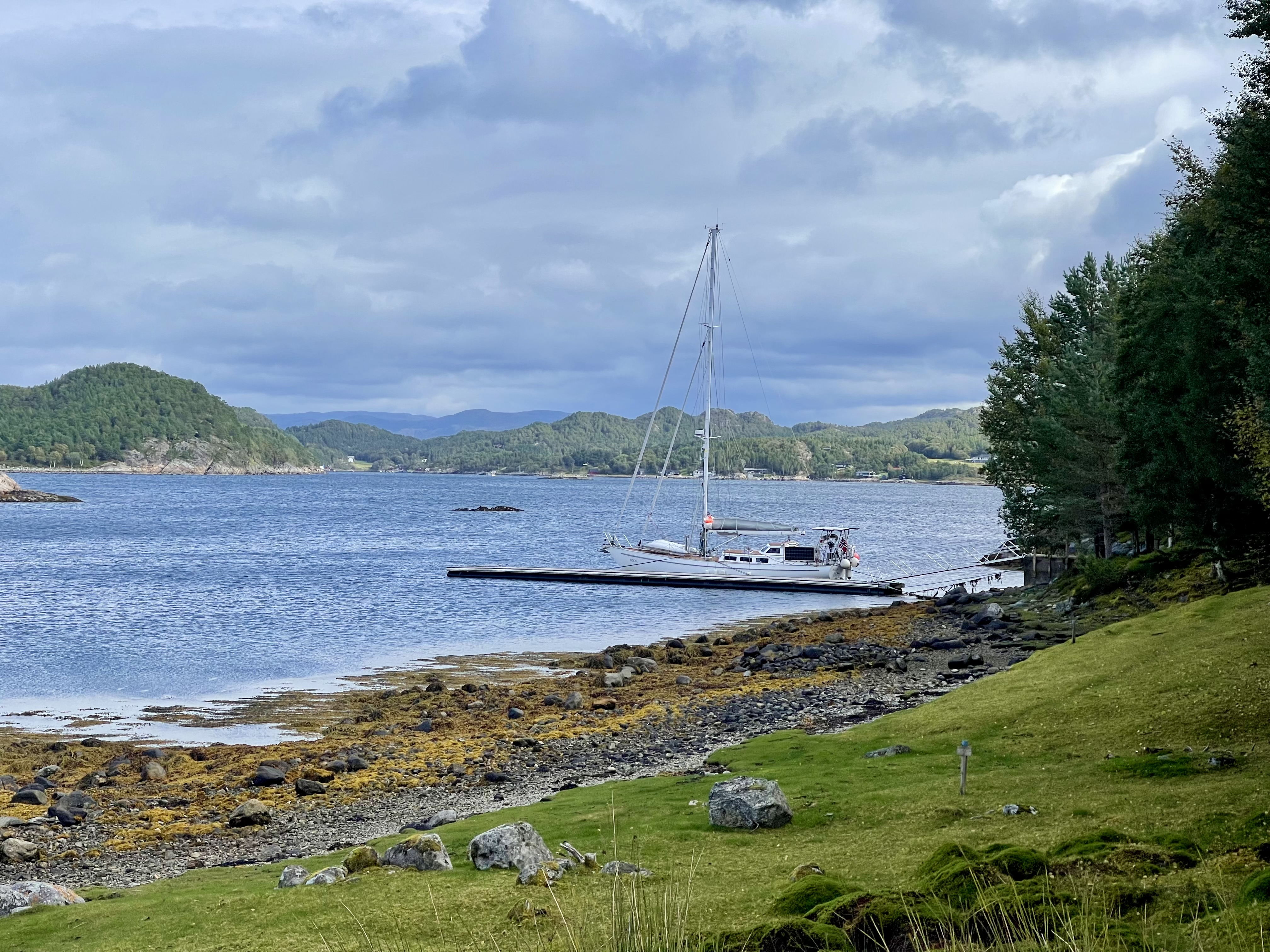 Photo from Røstøya naturreservat