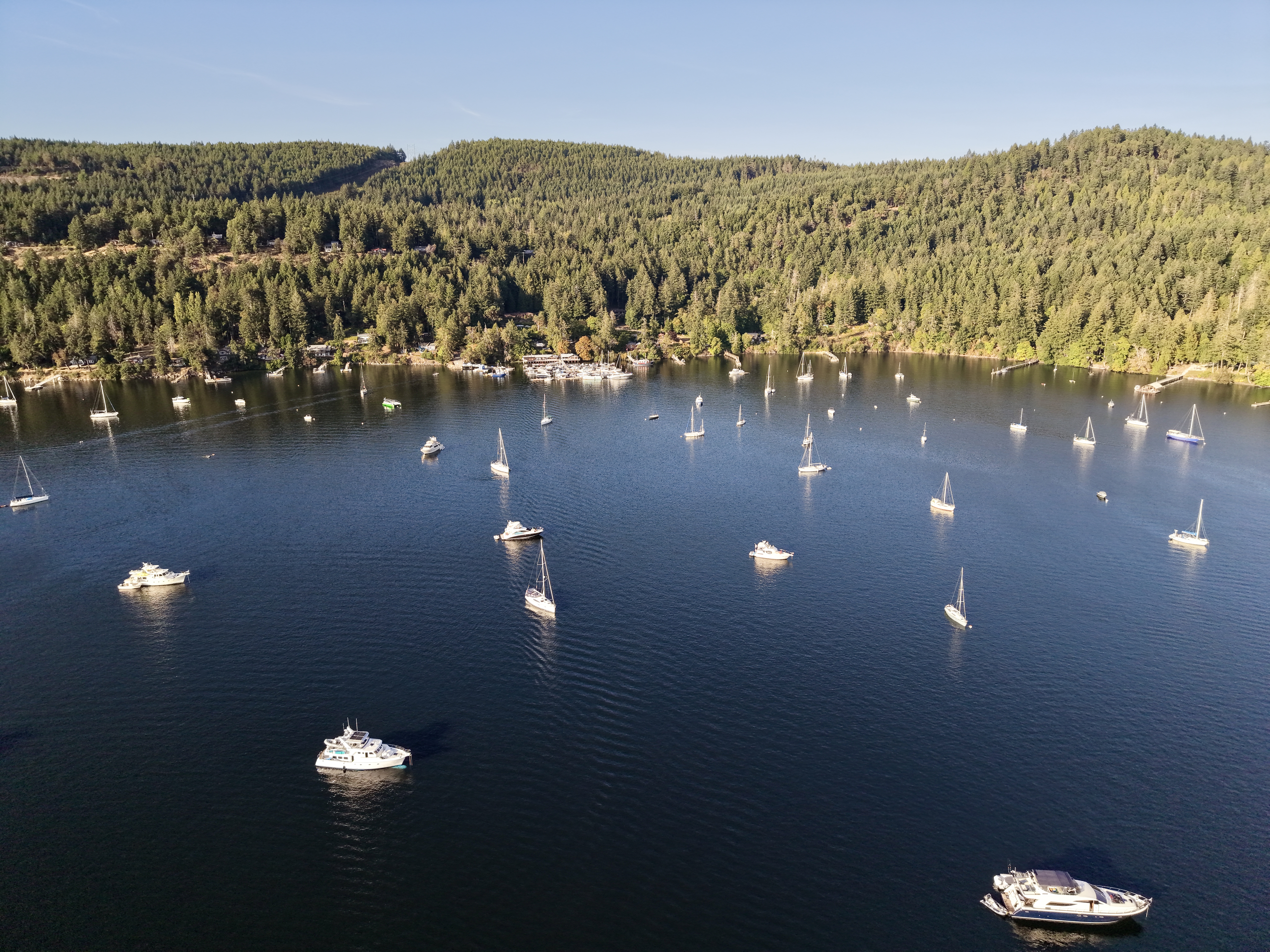 Photo from Montague Harbour