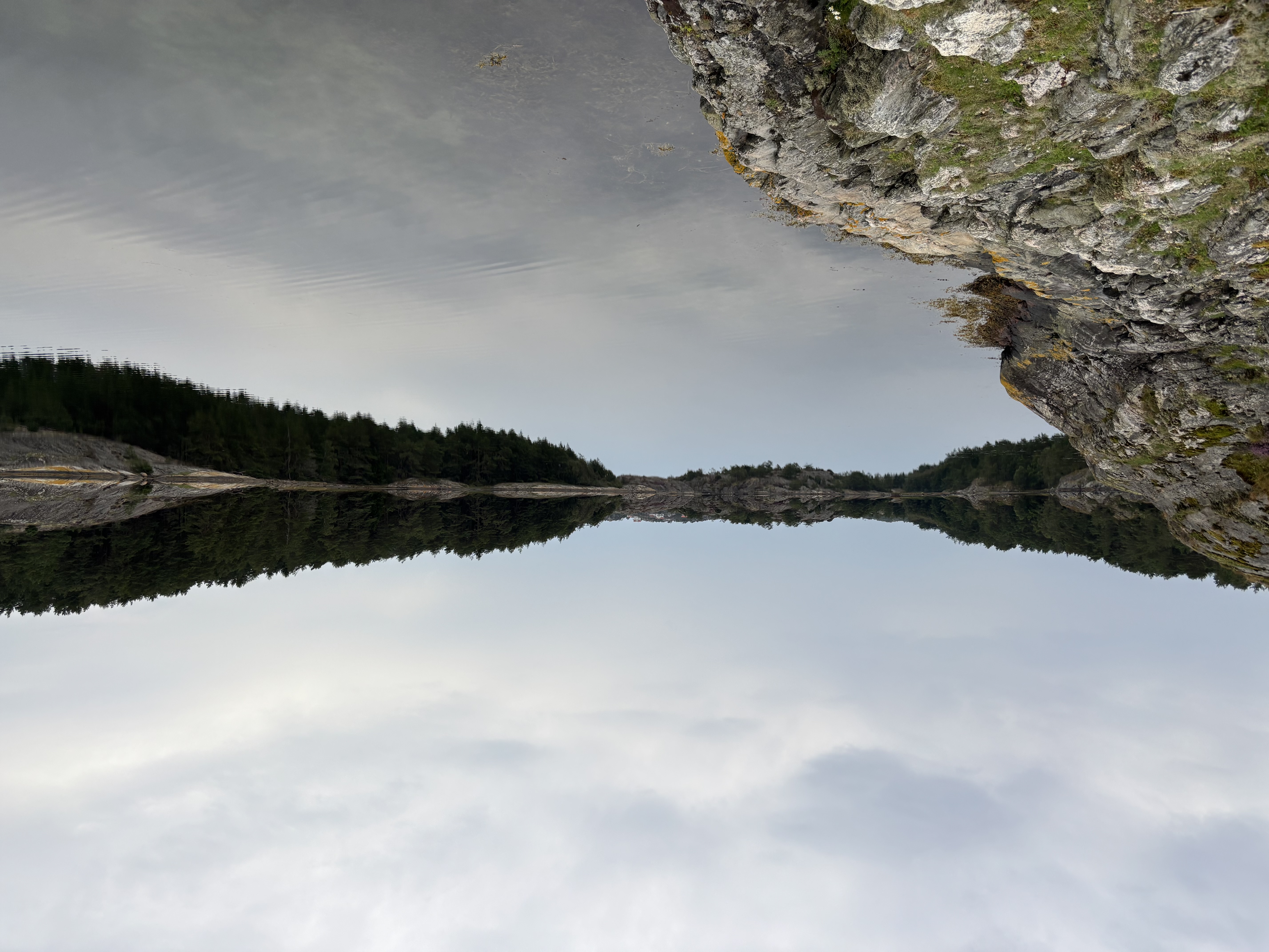Photo from Malo Strommar