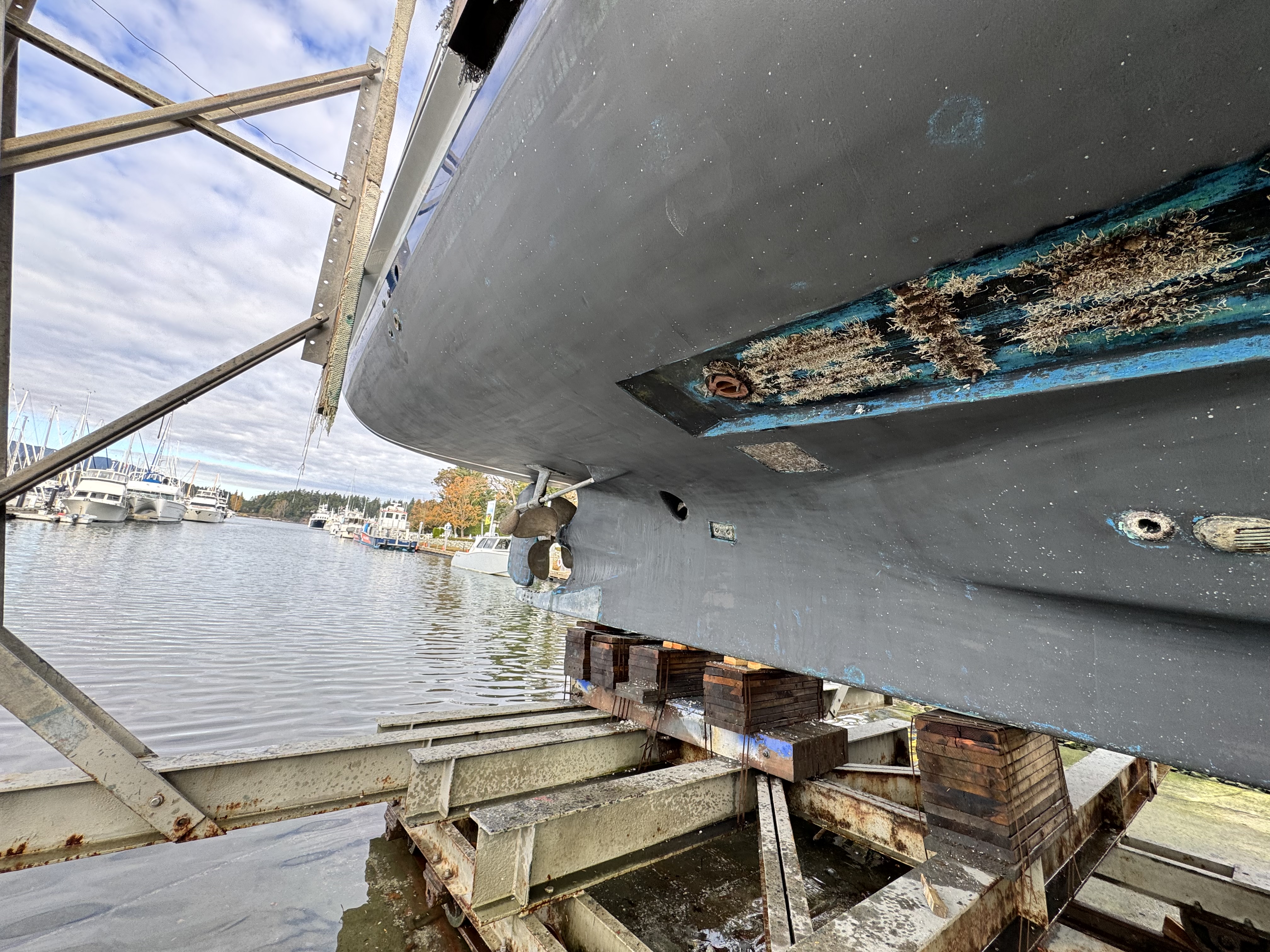 Photo from Van Isle Marina
