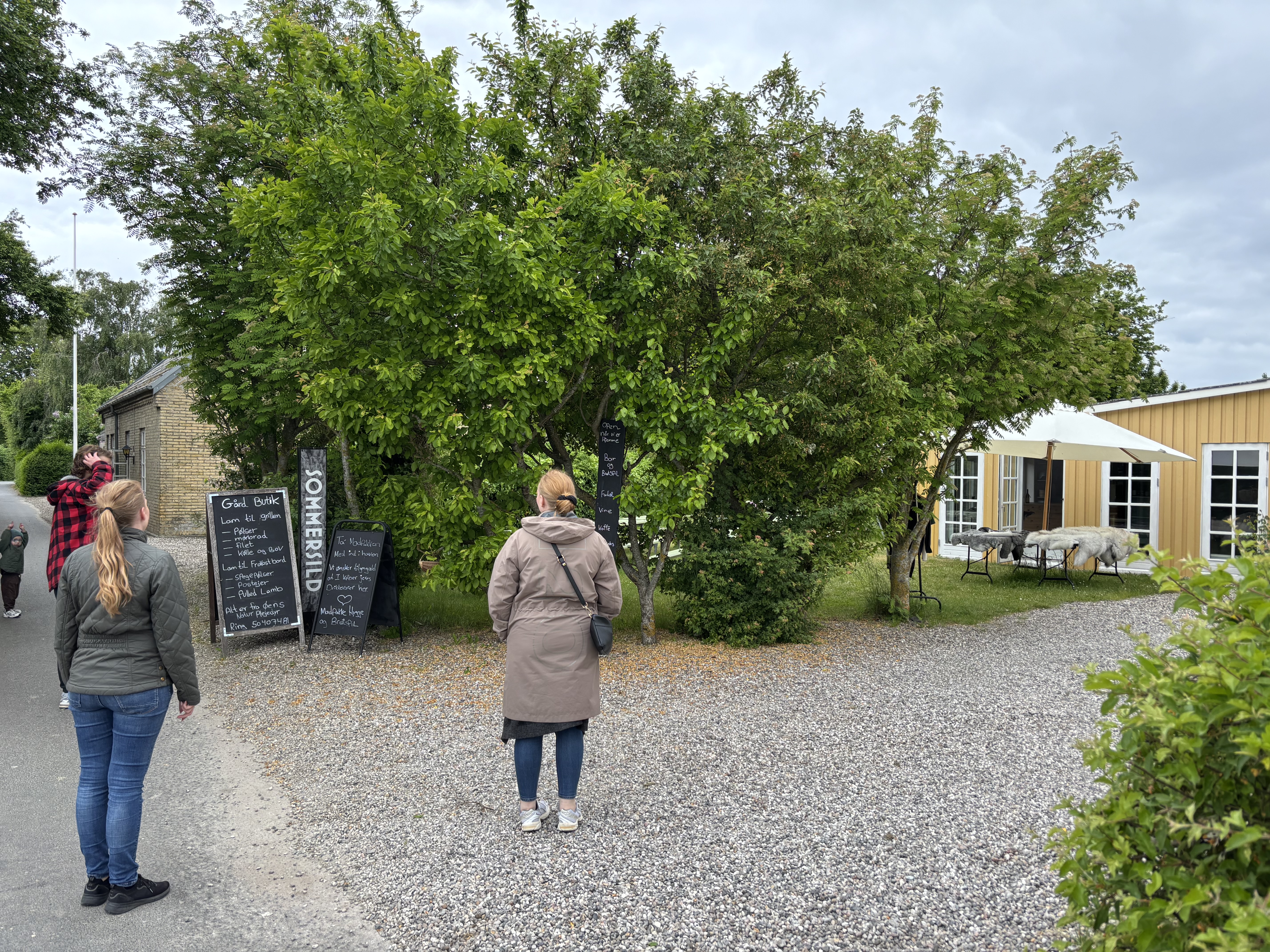 Photo from Skaro Havn