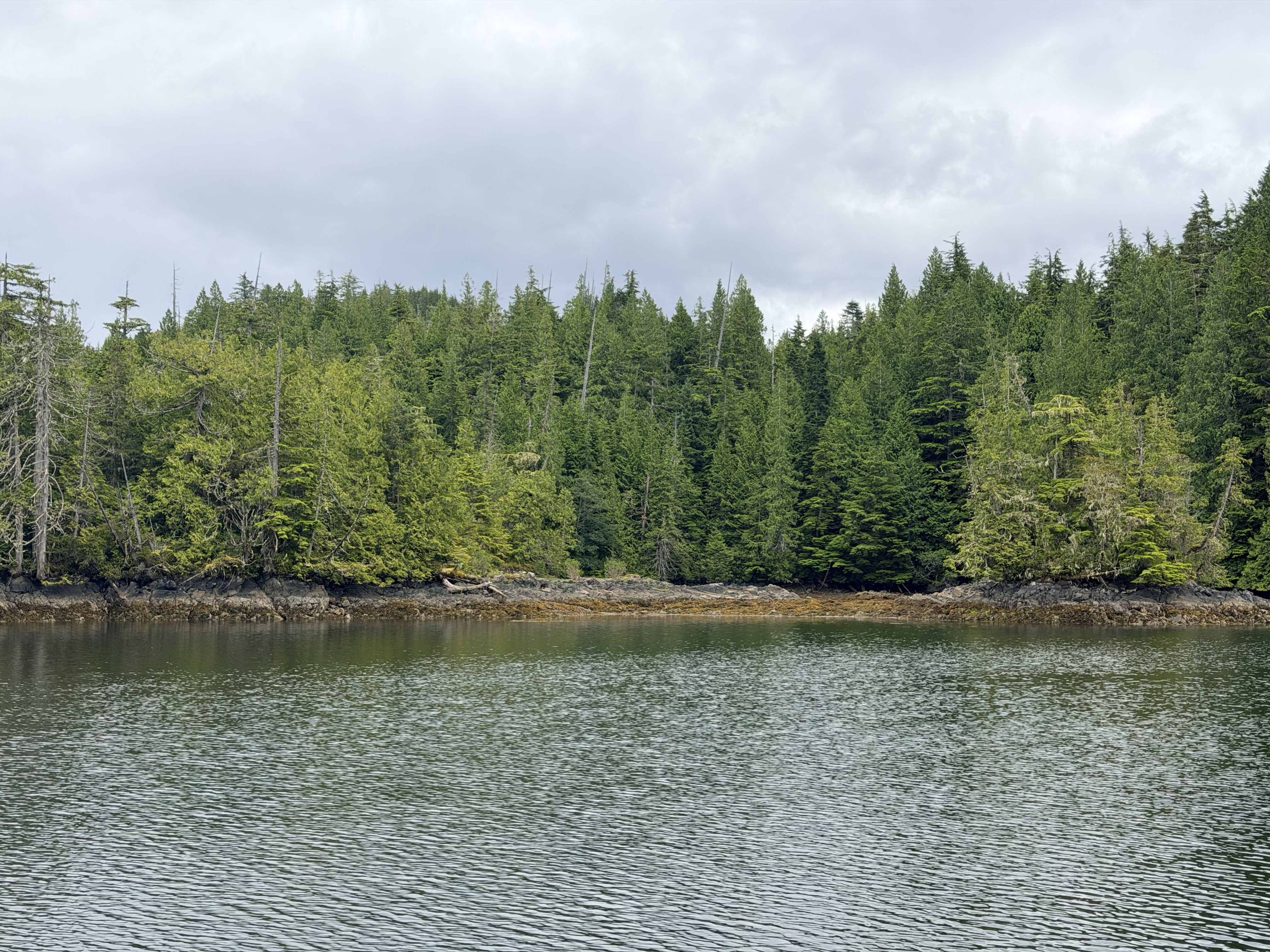 Photo from Clam Cove