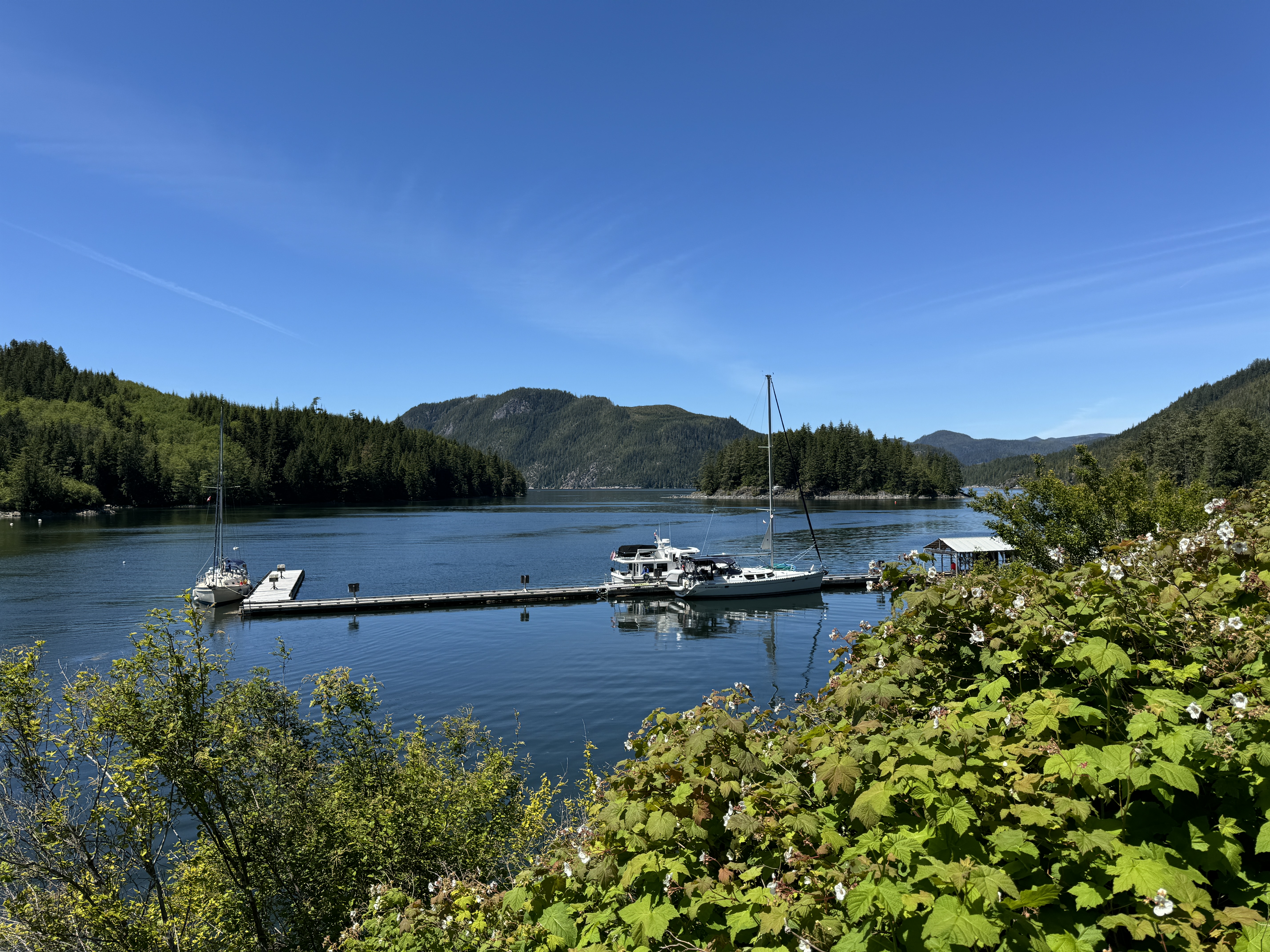 Photo from Lagoon Cove Marina