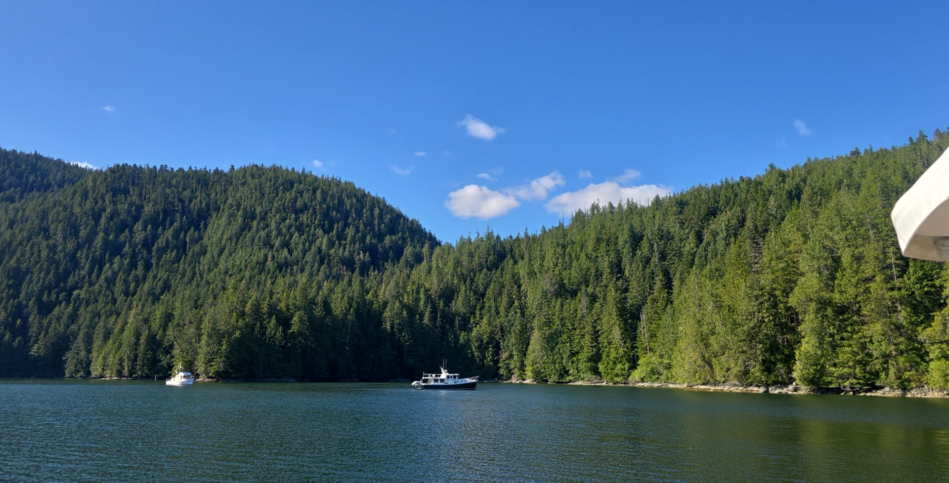 Photo from Turnbull Cove