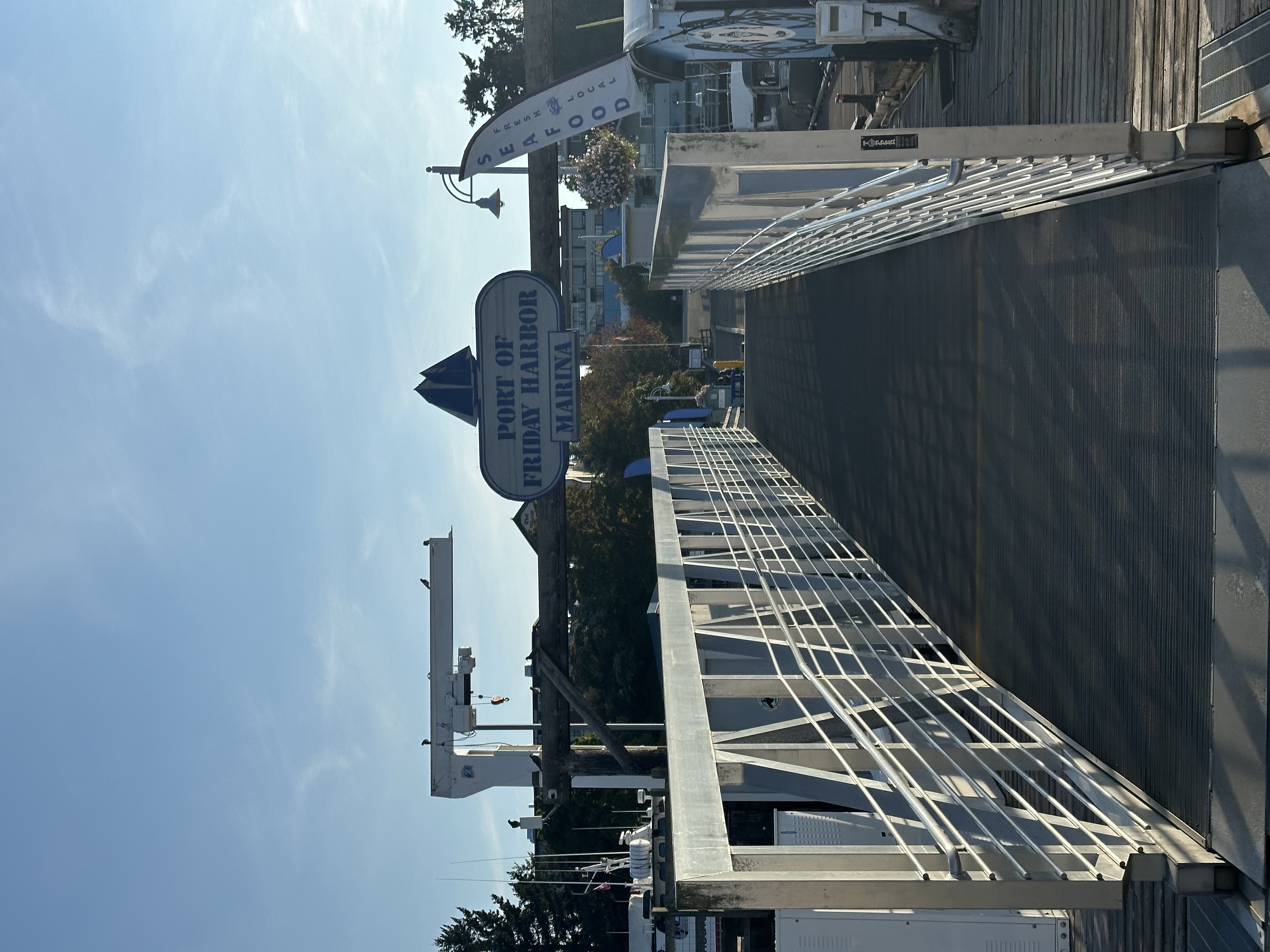 Photo from Friday Harbor