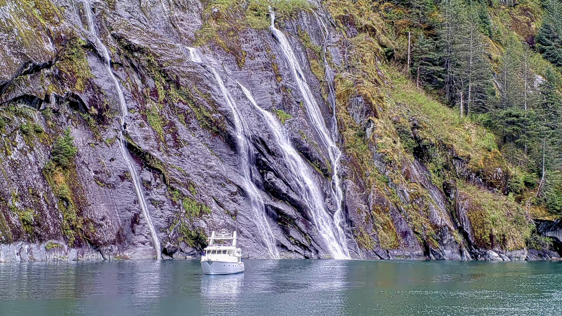Photo from Fords Terror West Arm