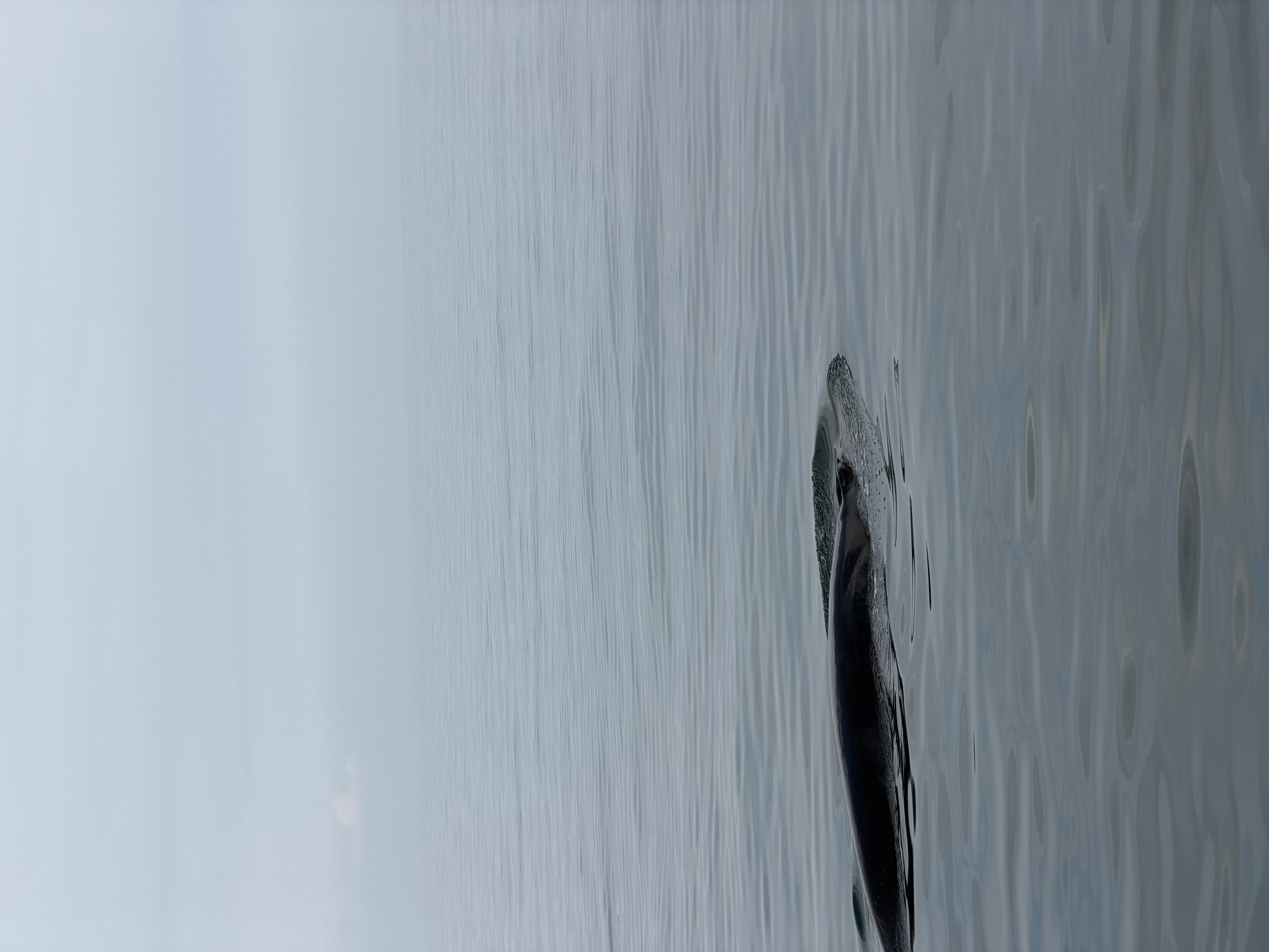 Photo from Underway