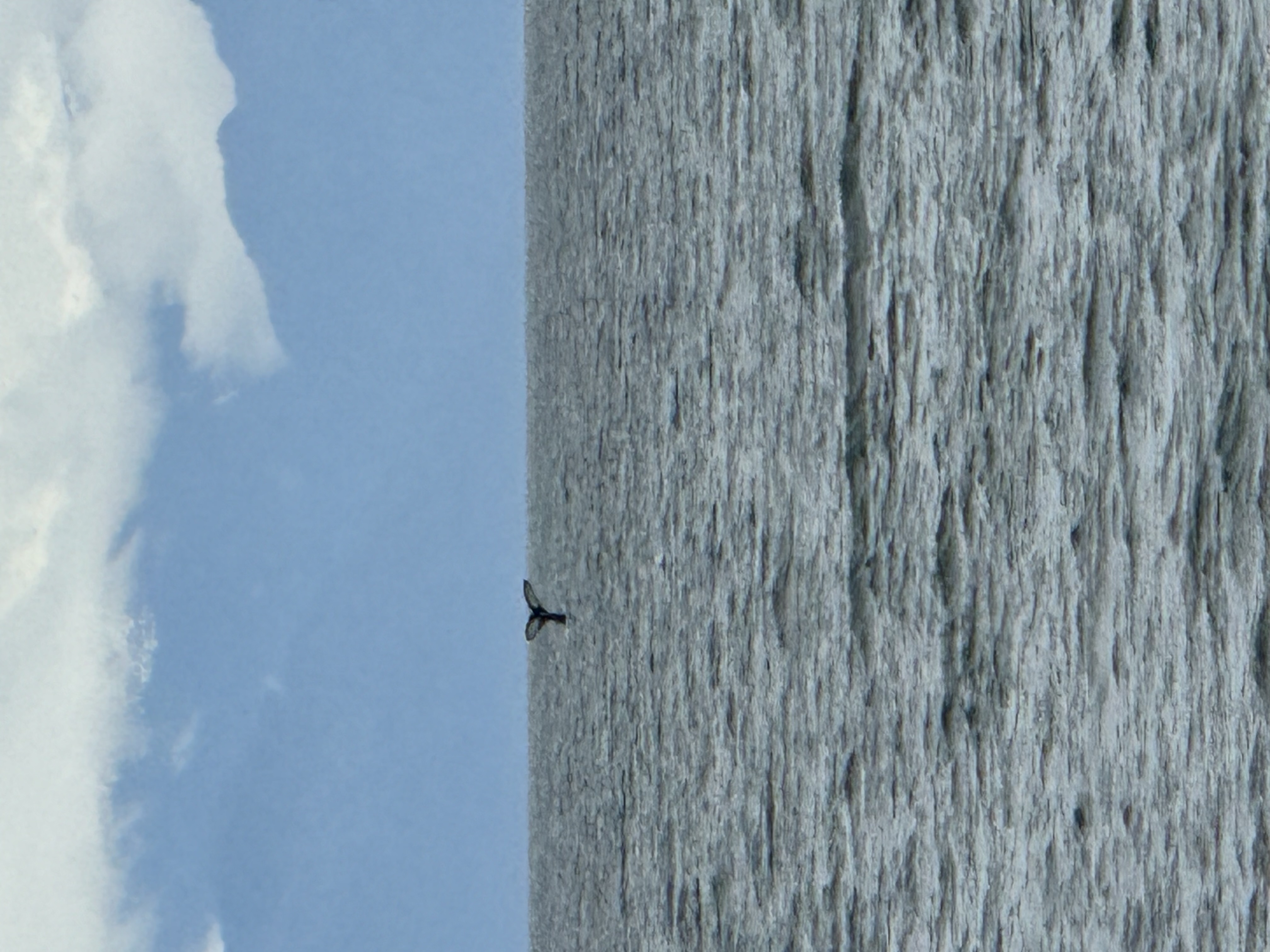 Photo from Underway