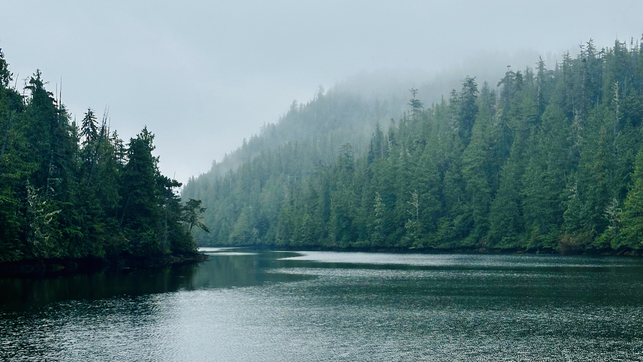 Photo from Lewall Inlet