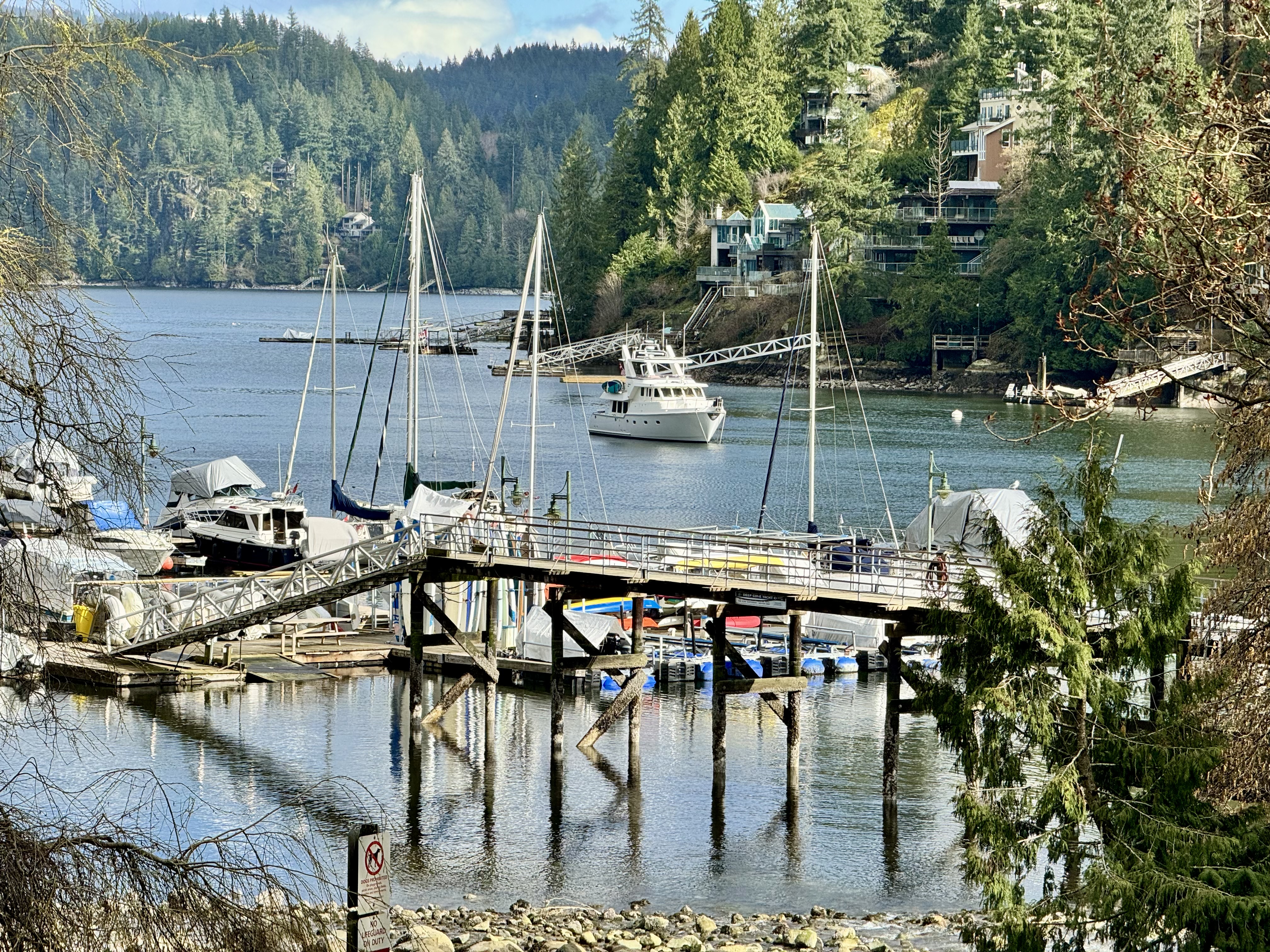 Photo from Deep Cove