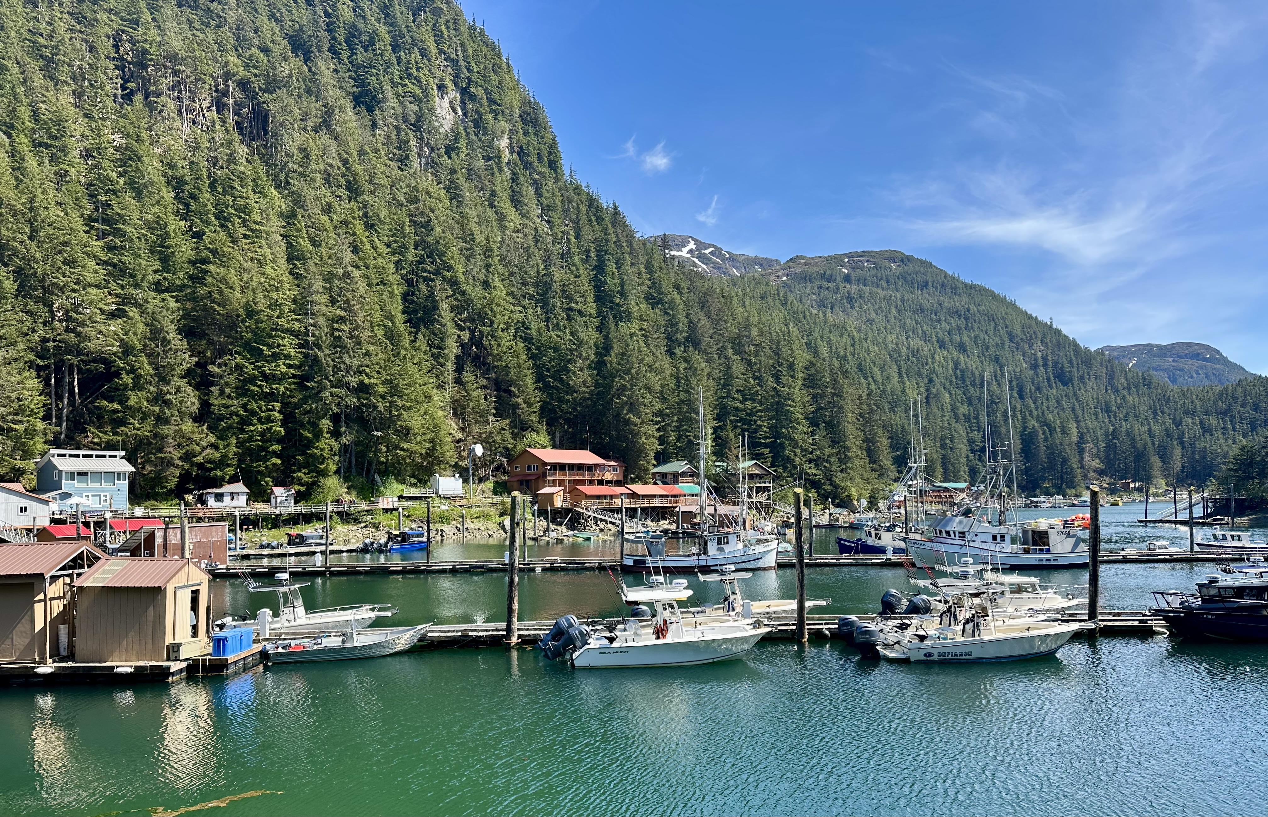 Photo from Elfin Cove Dock