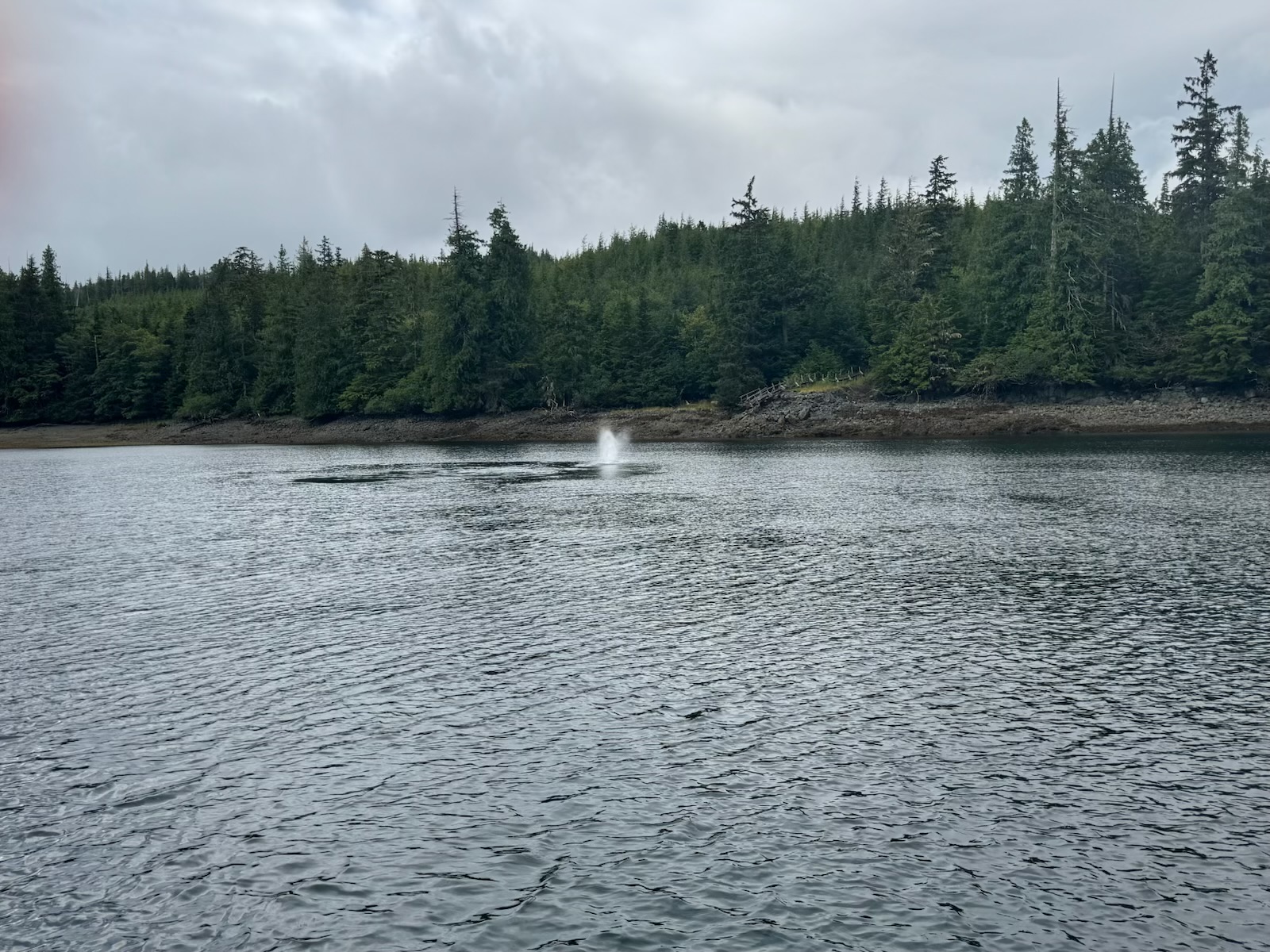 Photo from Underway