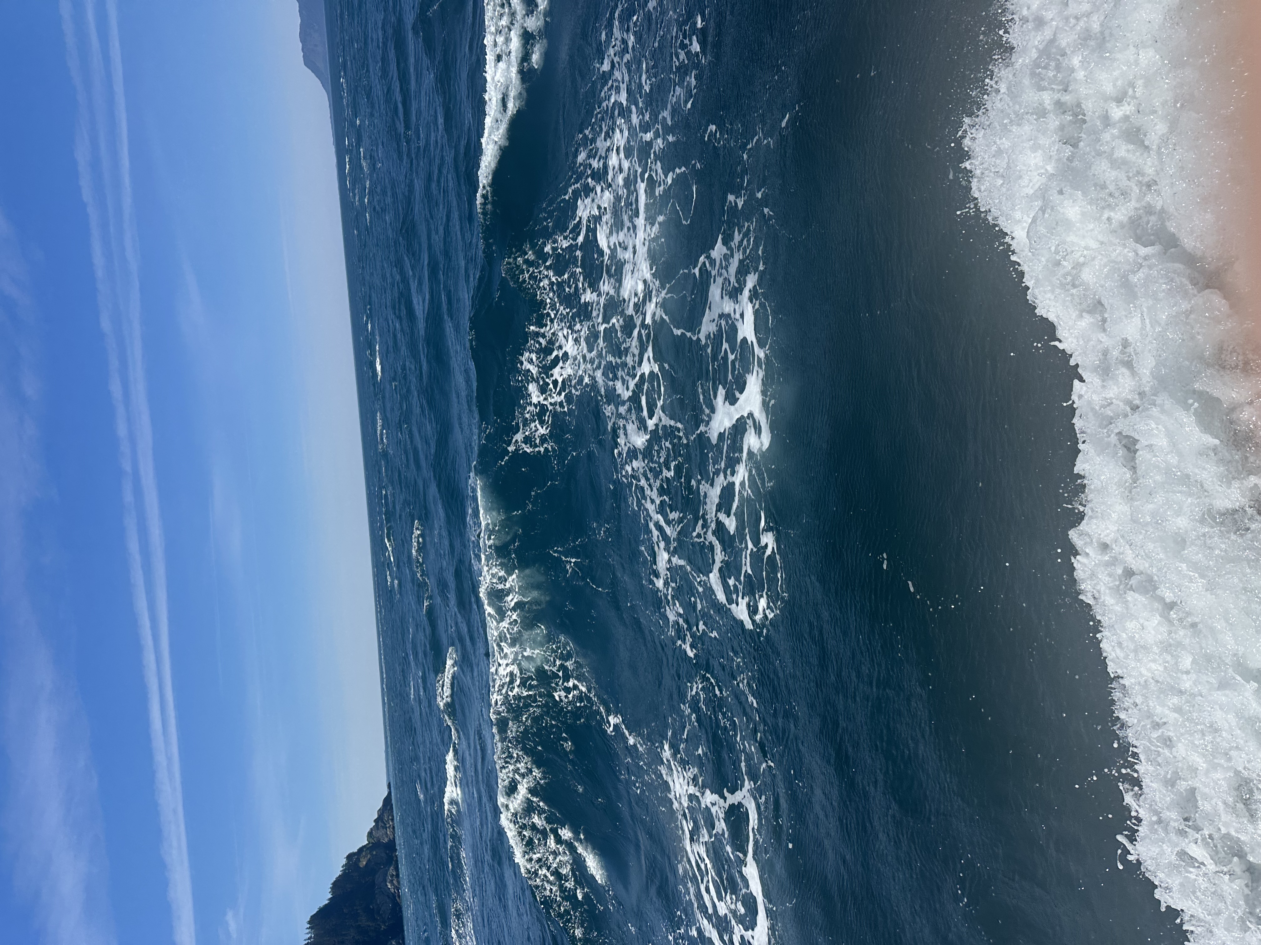 Photo from Elfin Cove Dock