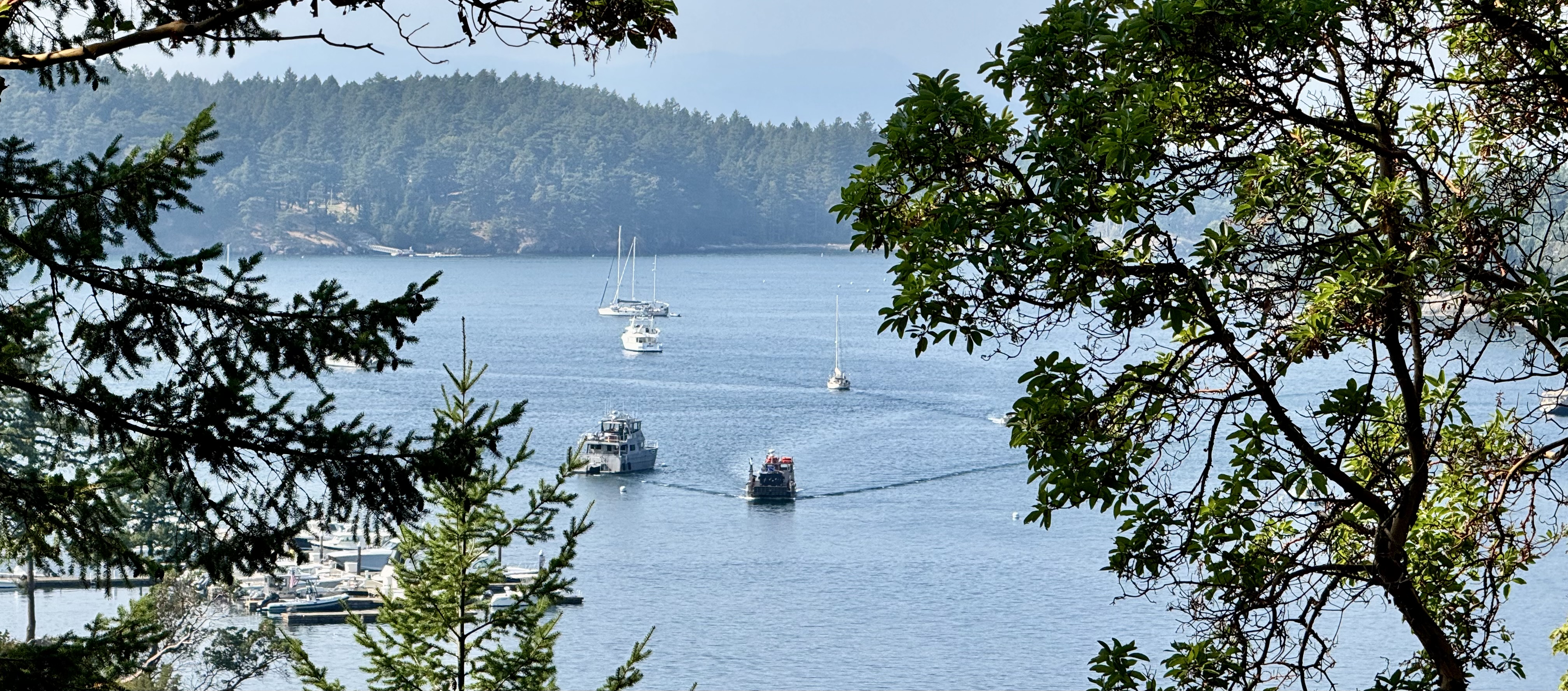 Photo from Roche Harbor