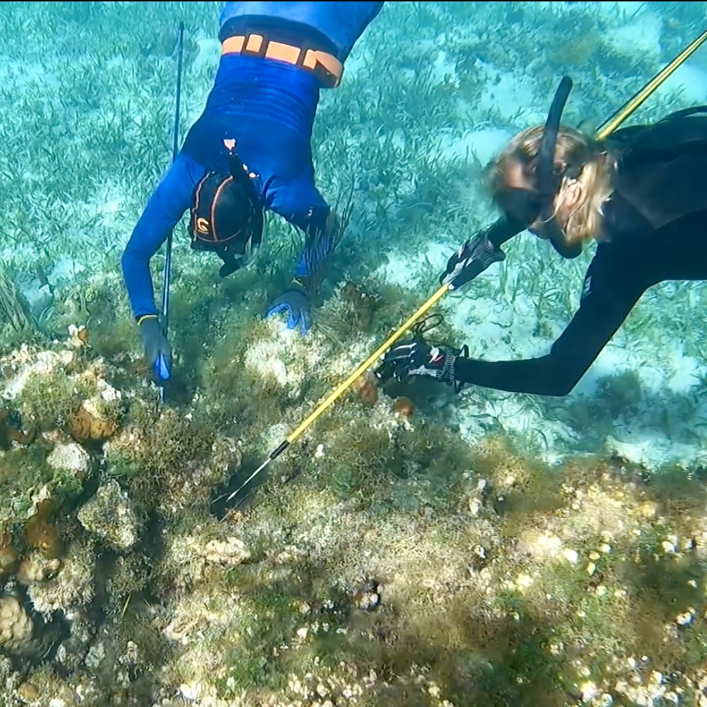 Photo from Hog Cay