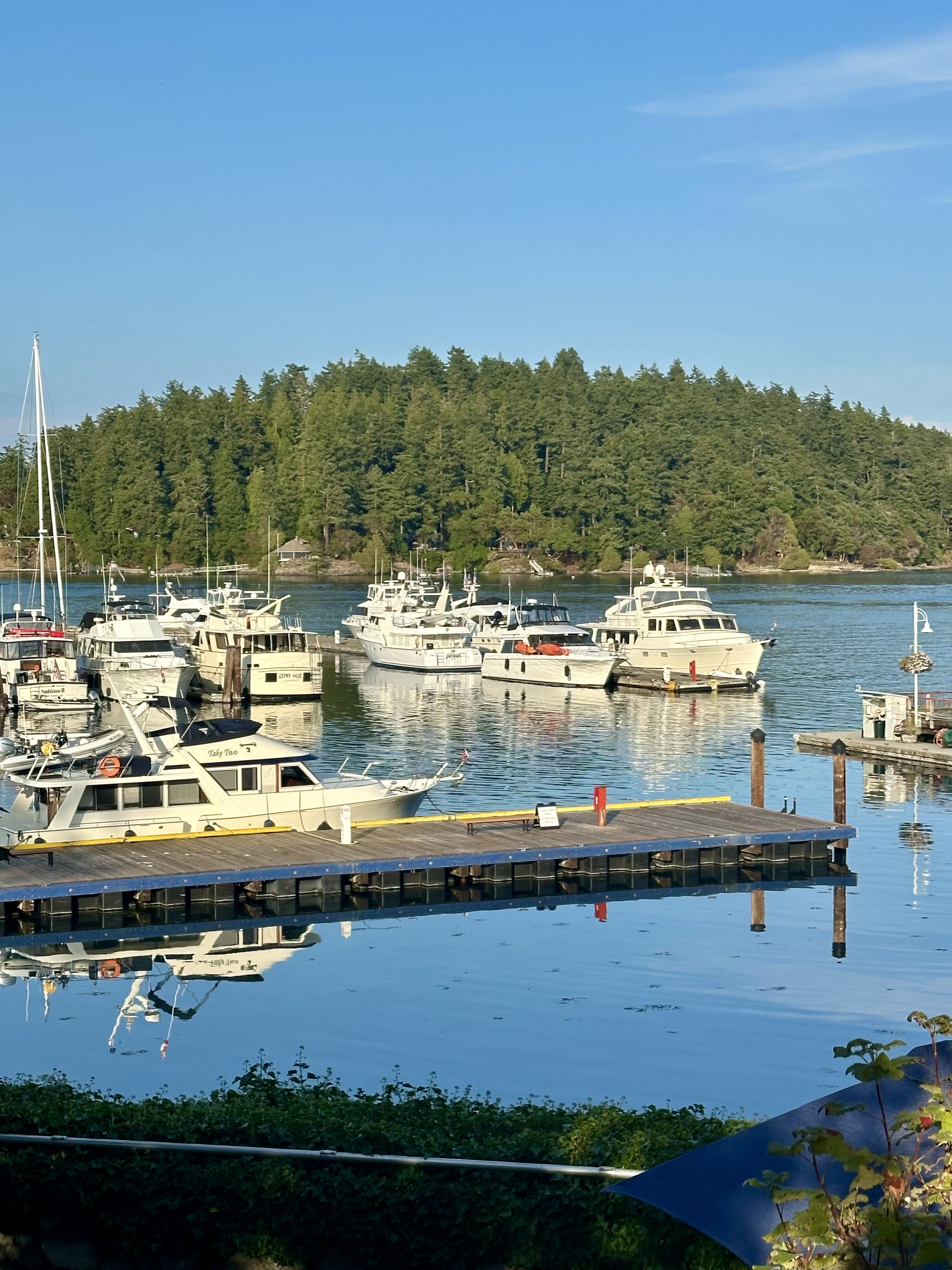 Photo from Friday Harbor