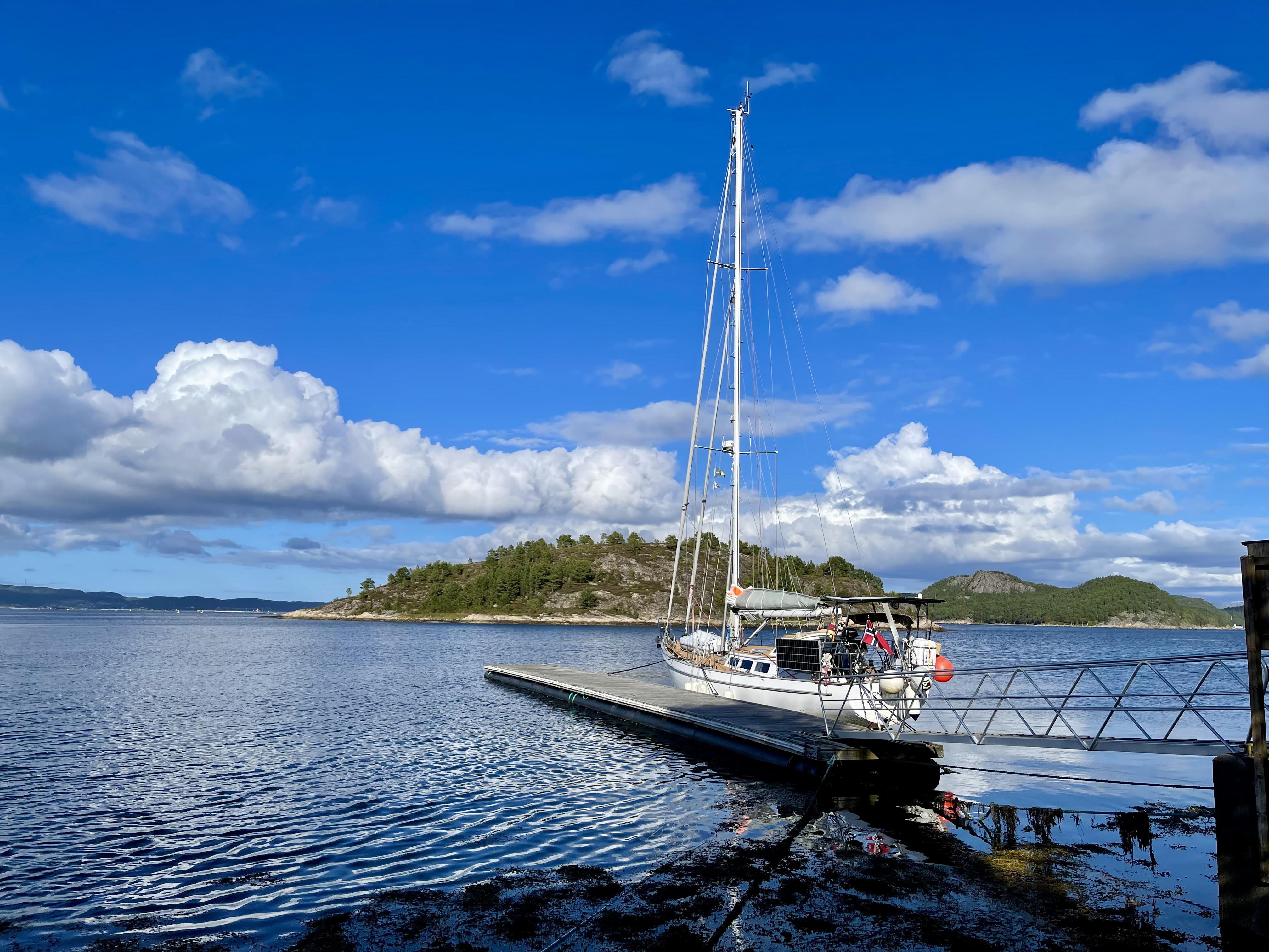 Photo from Røstøya naturreservat