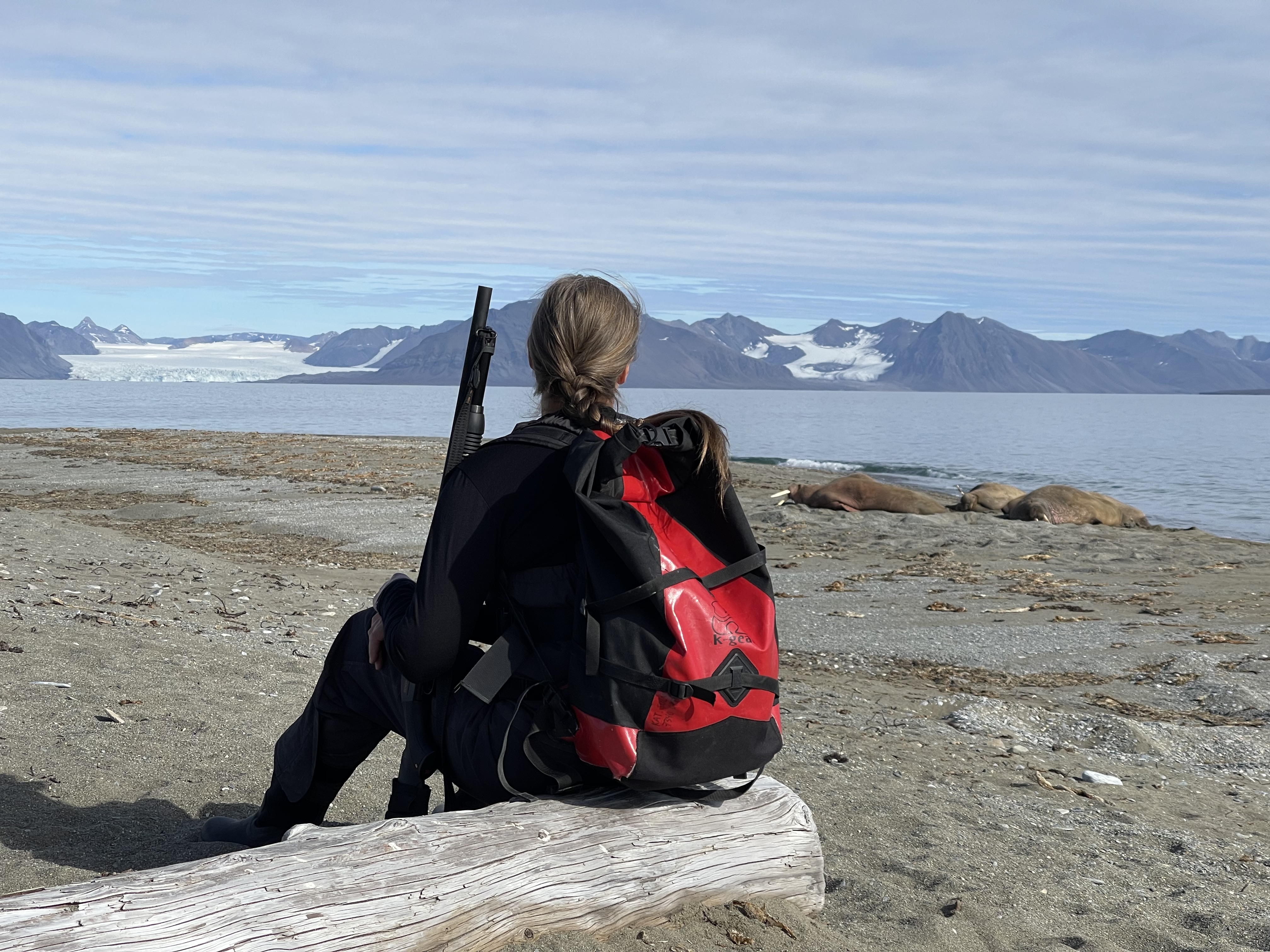 Photo from Poolepynten