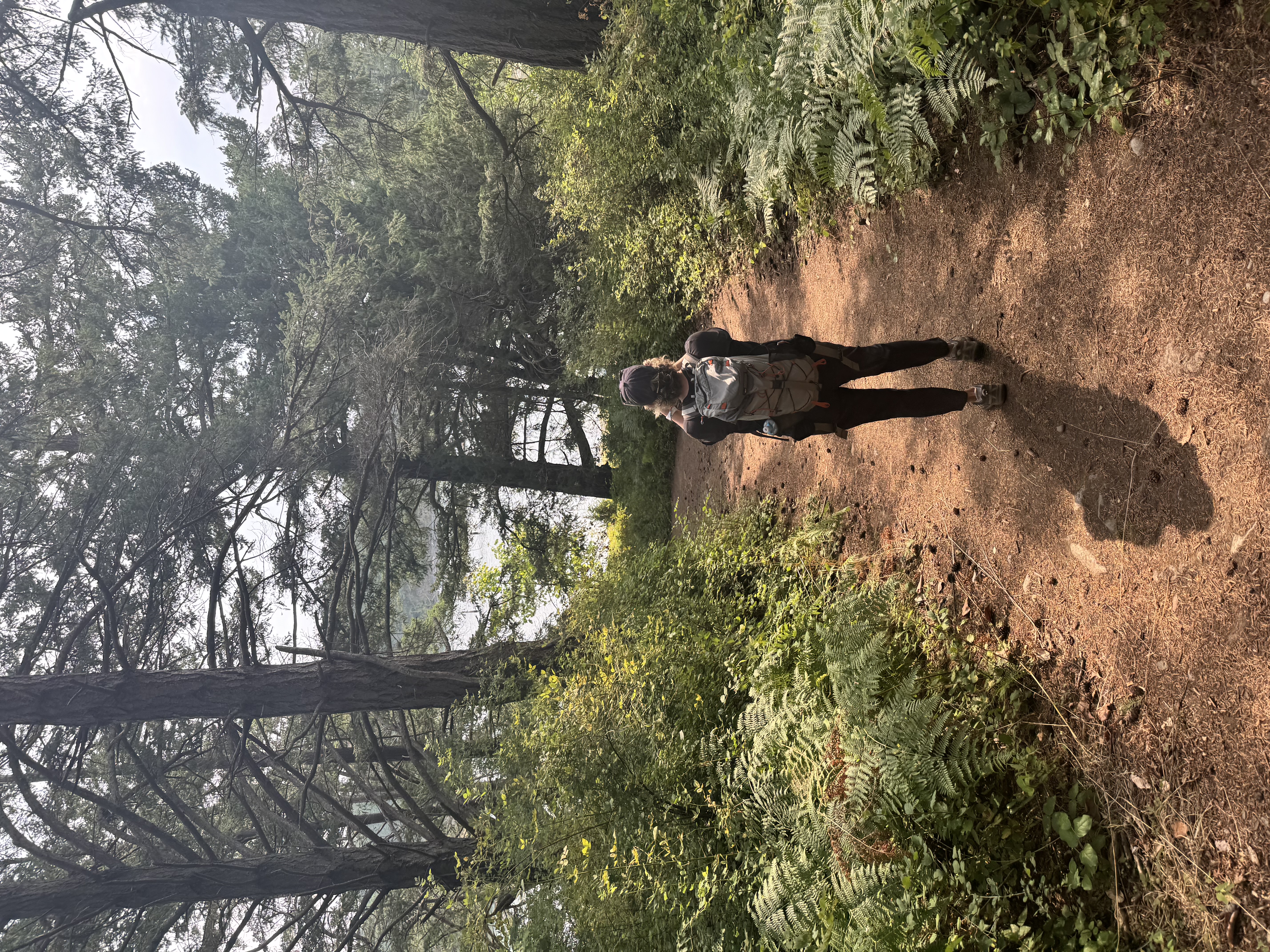 Photo from Echo Bay Sucia island 