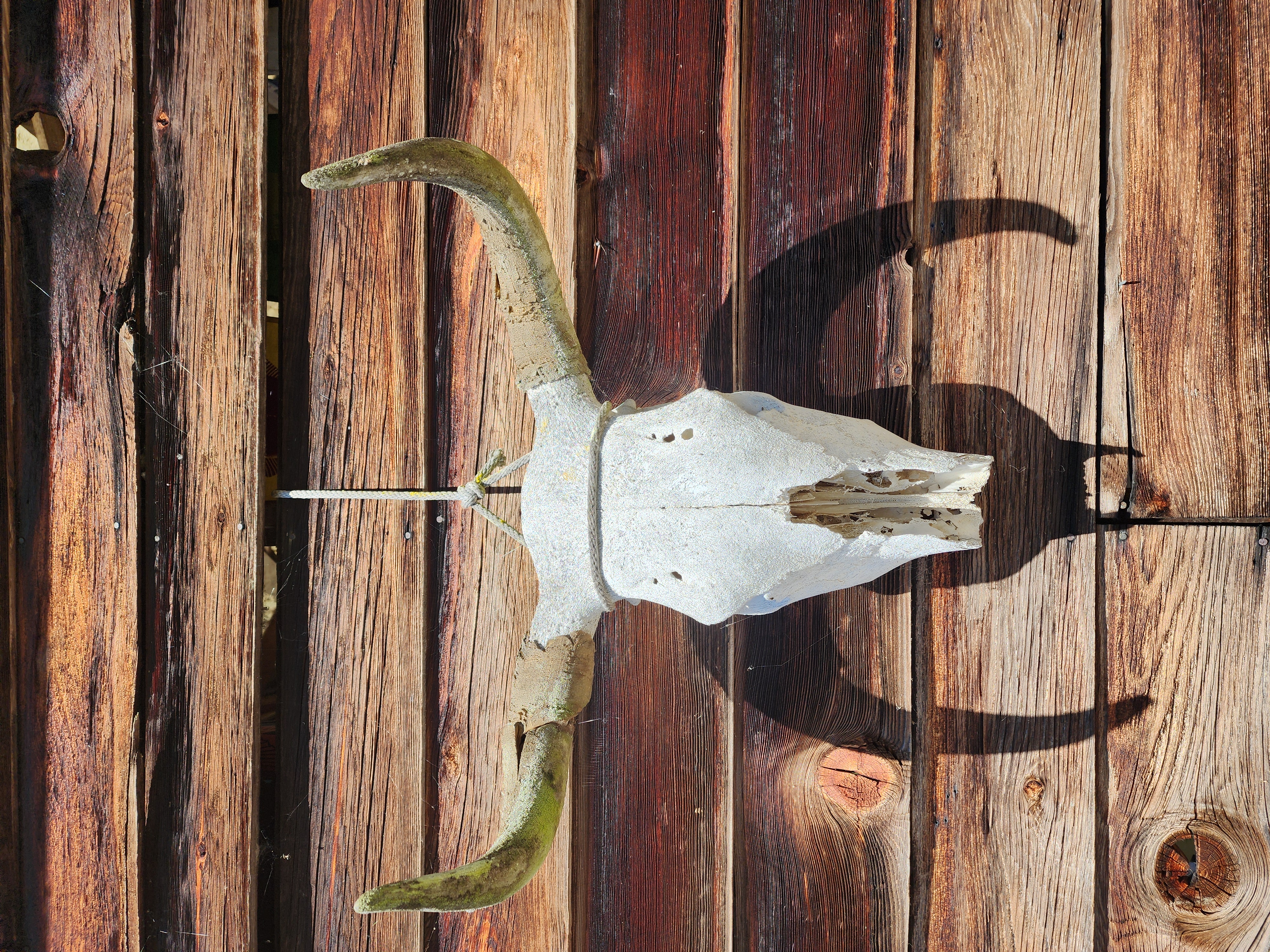 Photo from Lagoon Cove Marina