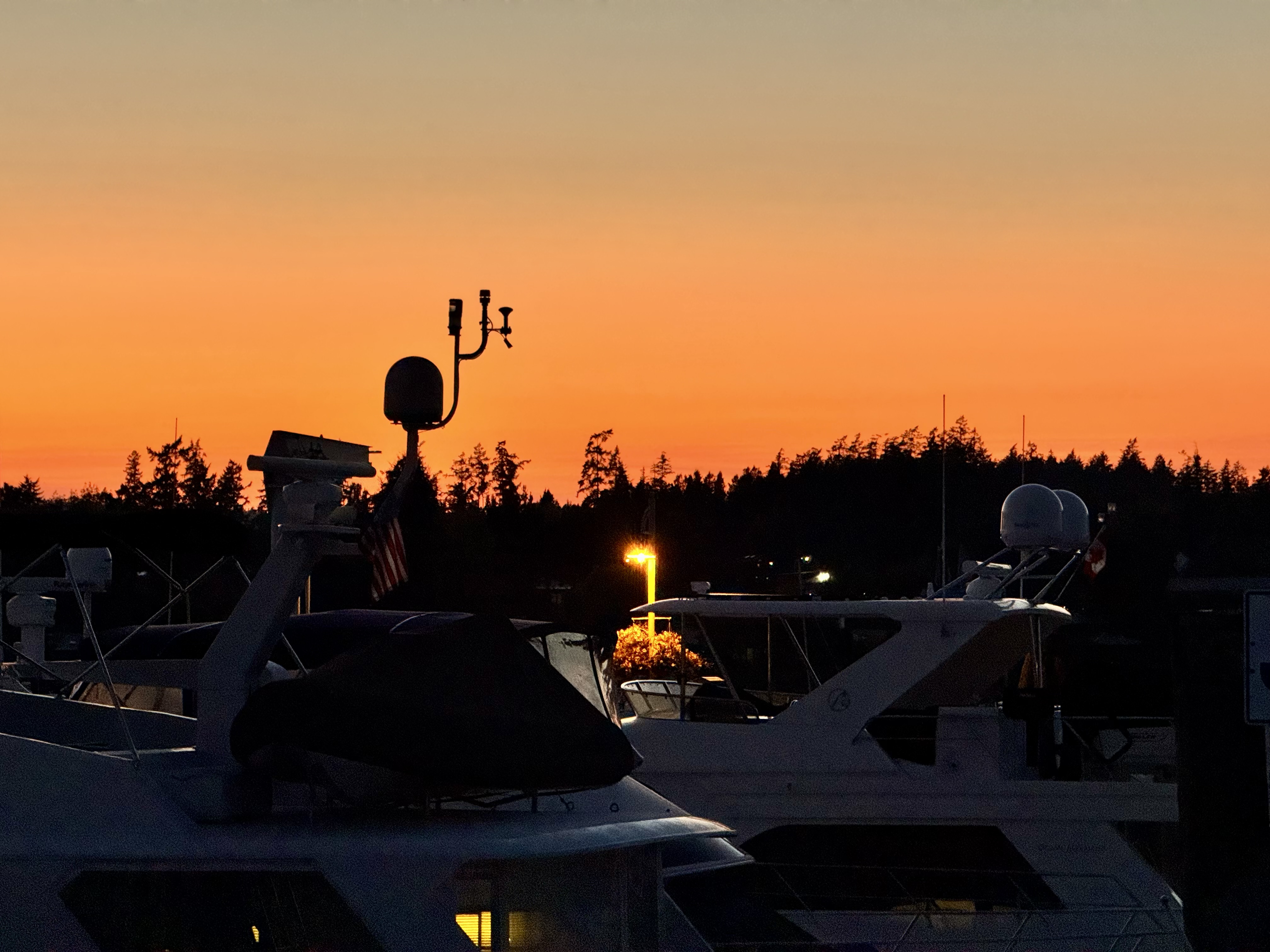 Photo from Friday Harbor