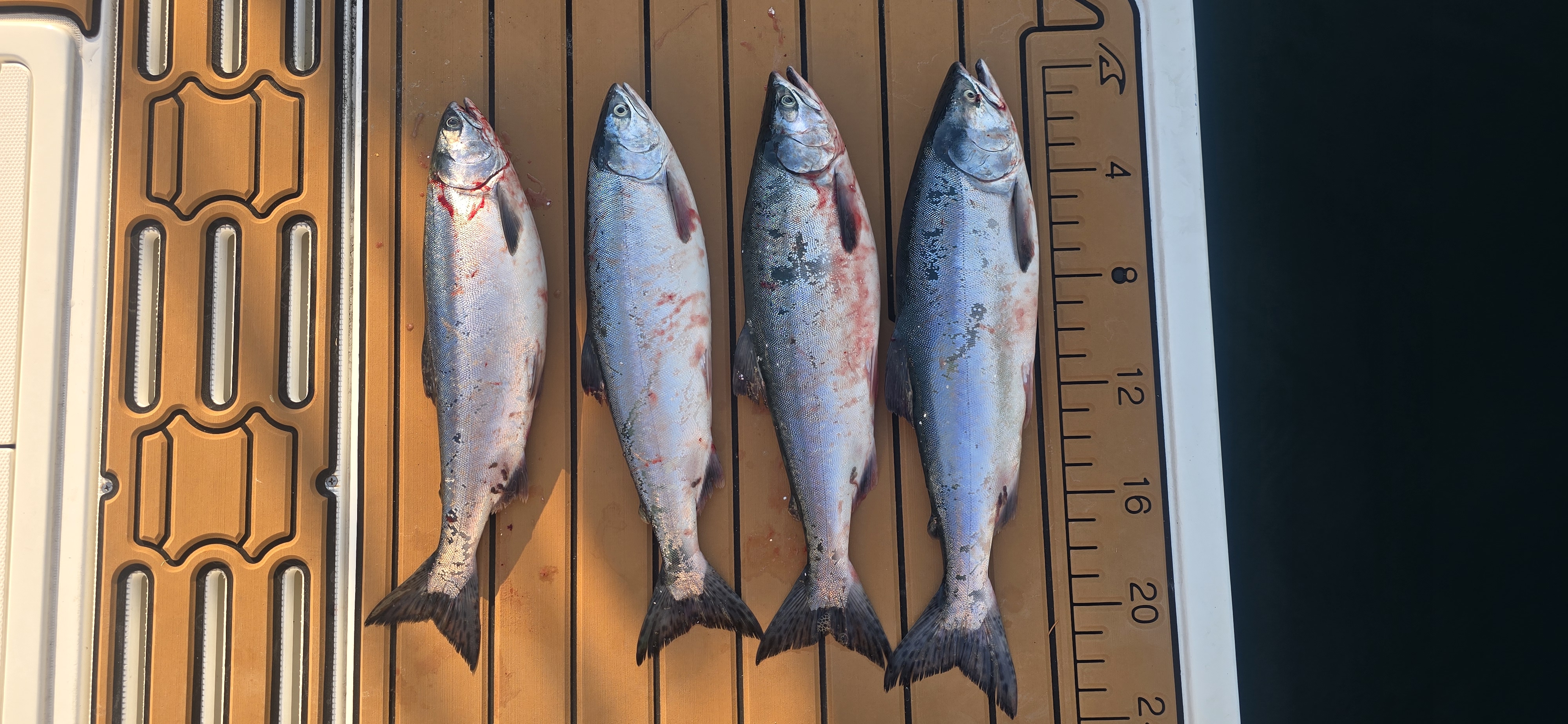 Photo from Stuart Island Marine Floats