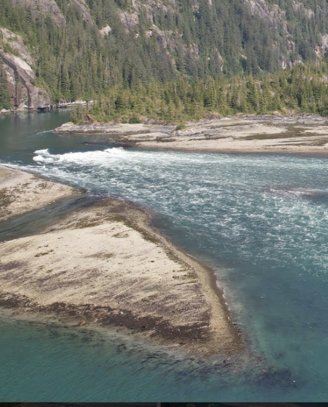 Photo from Fords Terror West Arm
