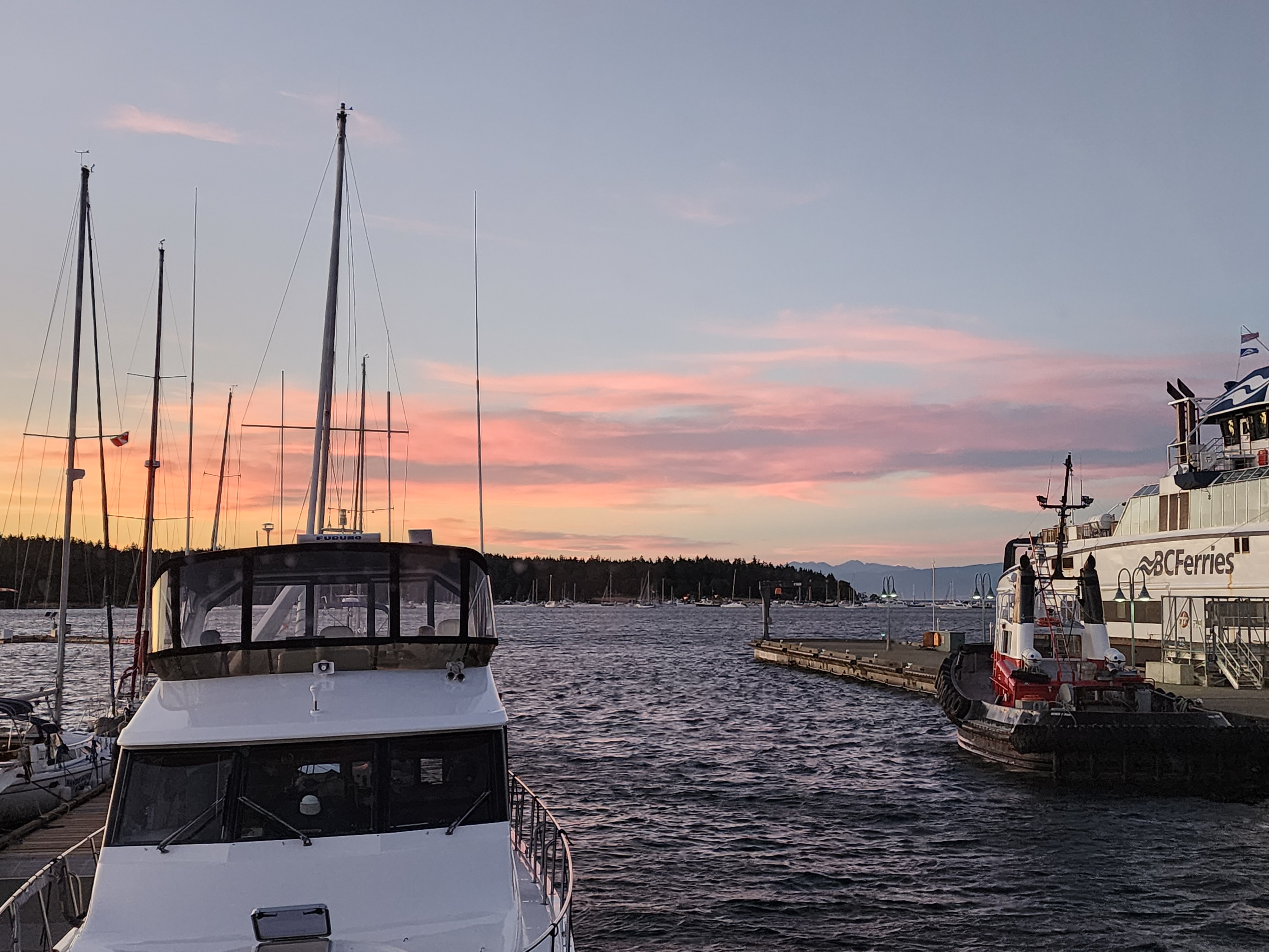 Photo from Port of Nanaimo