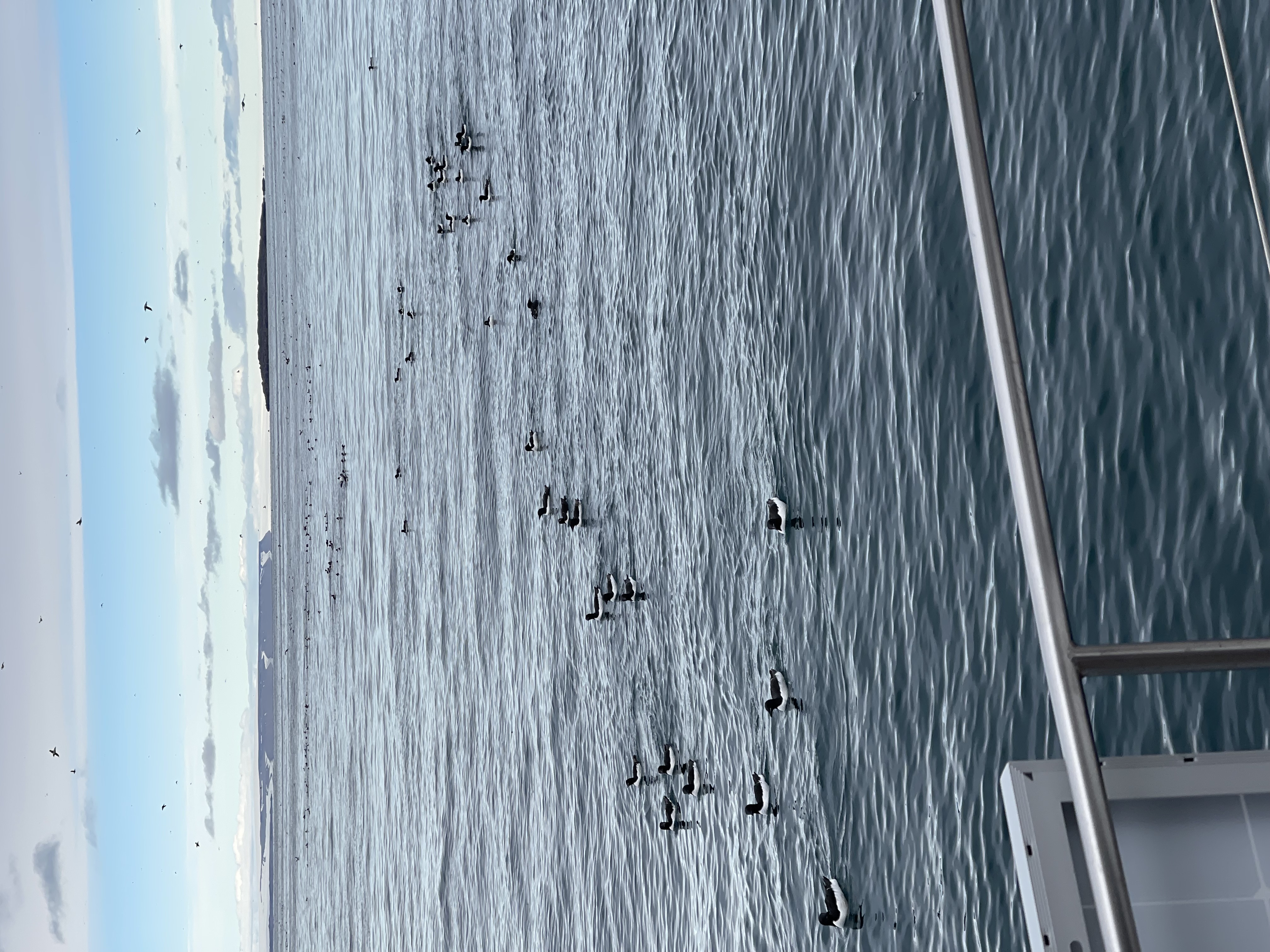 Photo from Underway
