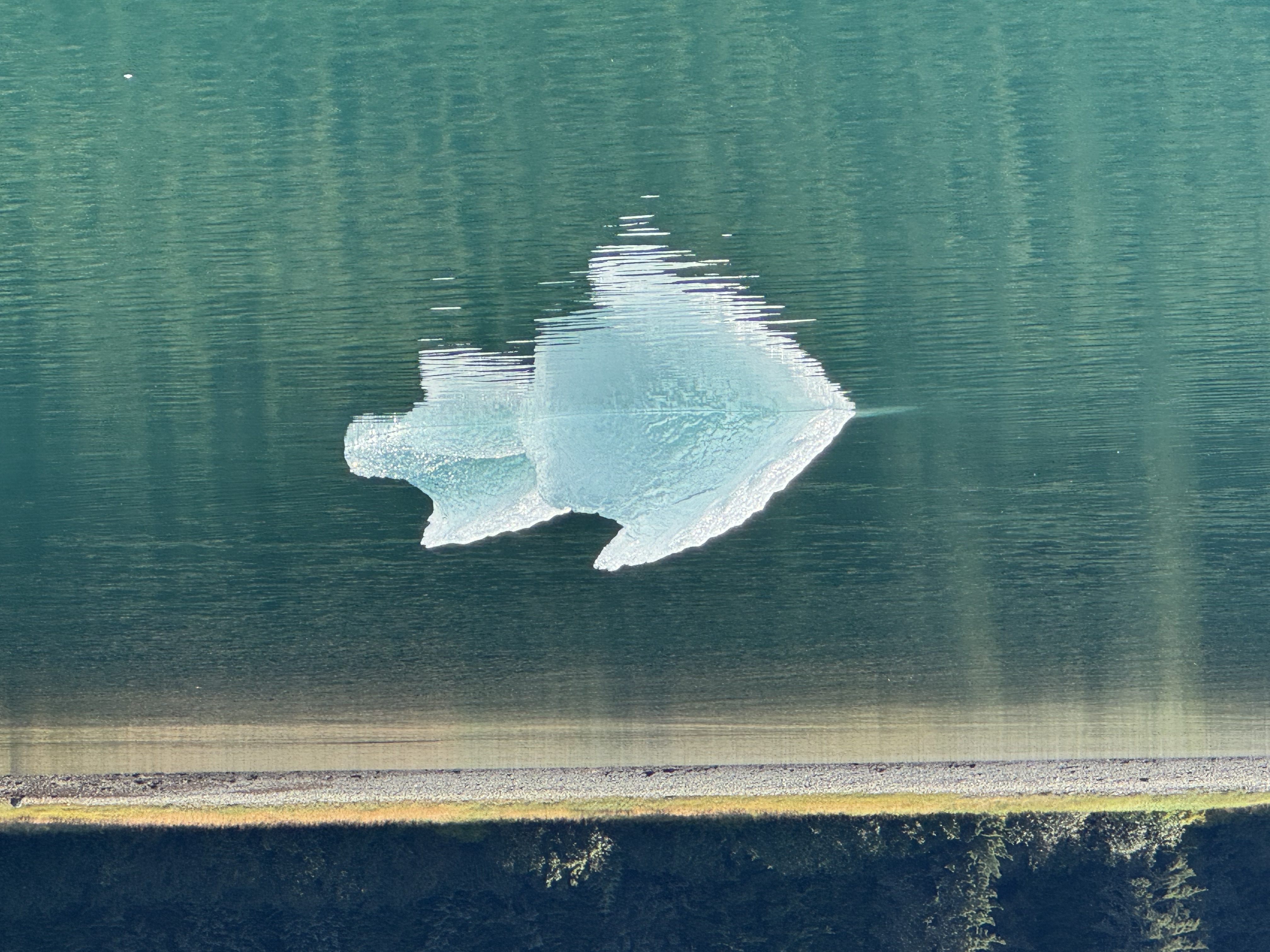 Photo from Tracy Arm Entrance Cove